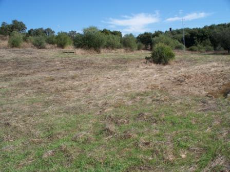 Campo Pericón 07.jpg