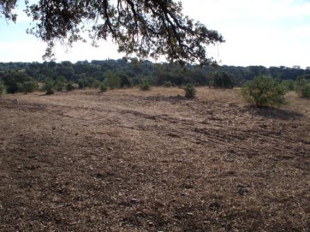 Campo Pericón 11.jpg